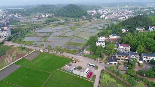 衢州全旺镇田园风光