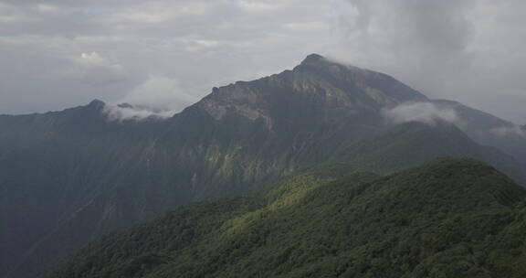 贵州梵净山树木山峦光线