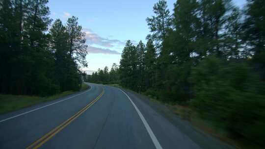 道路，树木，骑，森林