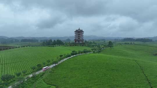 航拍贵州遵义湄潭茶园茶场春季雨后风景