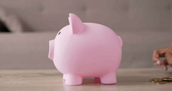 在猪猪储蓄管理放入钱币进行存钱
