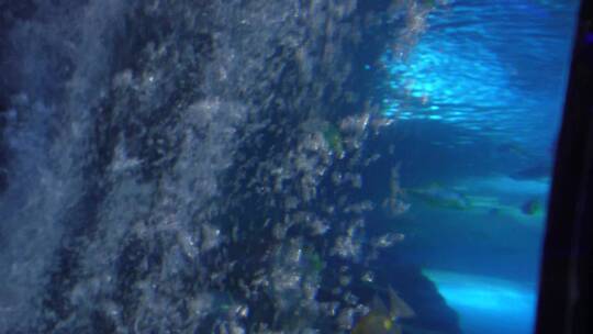 【镜头合集】海底气泡水下世界海洋神秘