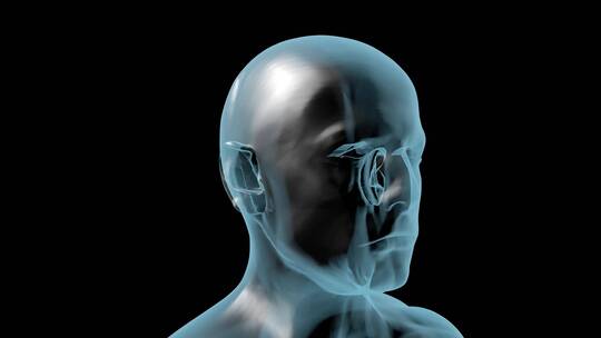 男性头部旋转的3D动画