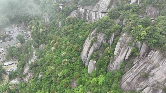 航拍福建宁德福鼎茶山白茶祖地