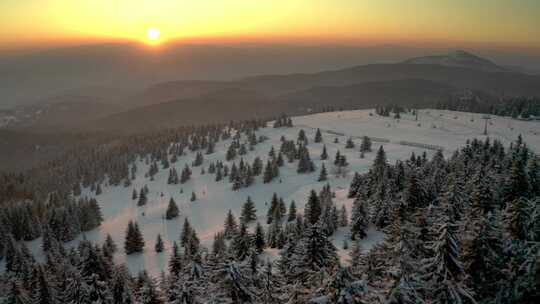 冬天，雪，山，森林