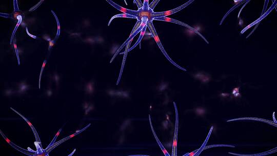 神经元互相交流