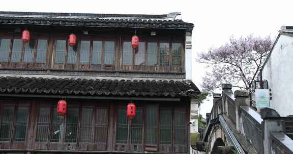 清晨春雨谷雨江南水乡古街 苏州平江路