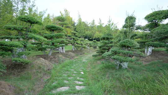 武汉江夏区藏龙岛国家湿地公园