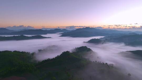 茶山茶园云海日出