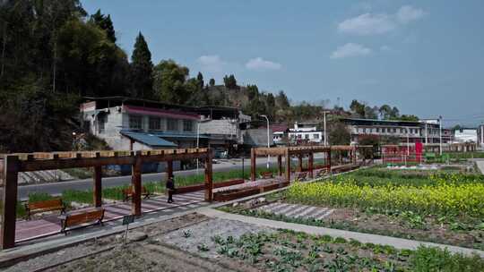 高清航拍乡村农田稻田农村山水风光自然风景