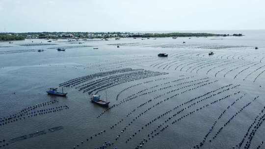 越南C n Gi海岸附近漂浮的浮标和渔船