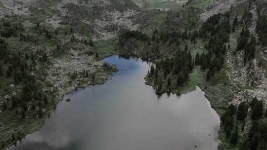 阿尔泰山脉的卡拉科尔湖泊和绿色森林