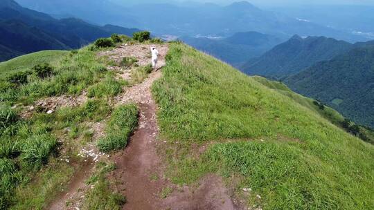 武功山高山草甸