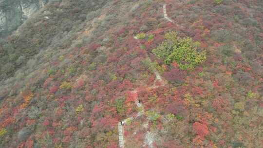 航拍秋季山林红叶景观