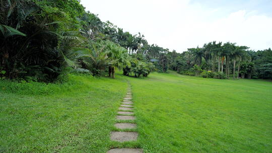 阳光草坪公园草地绿地