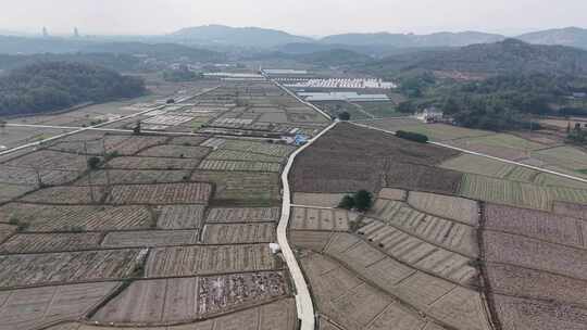 秋收后农田农民种植油菜航拍