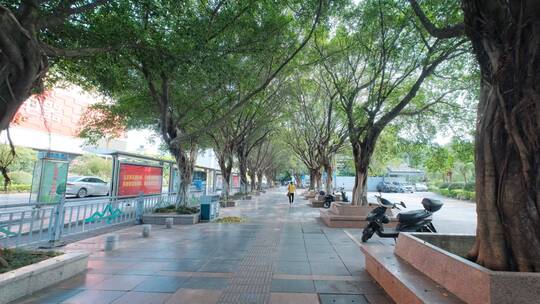 广西桂林城市道路绿树成荫的老城区街道街景