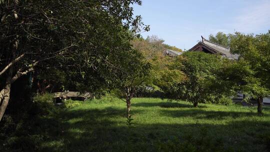 杭州西湖景区曲院风荷风景