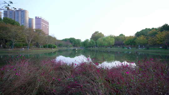 武汉江岸区堤角公园风景