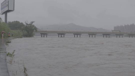 暴雨洪水LOG视频素材