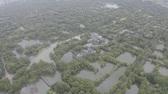 航拍西溪湿地热气球 未调色