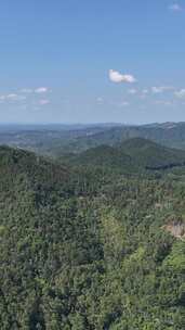 竖屏航拍山川丘陵大山山脉森林植物