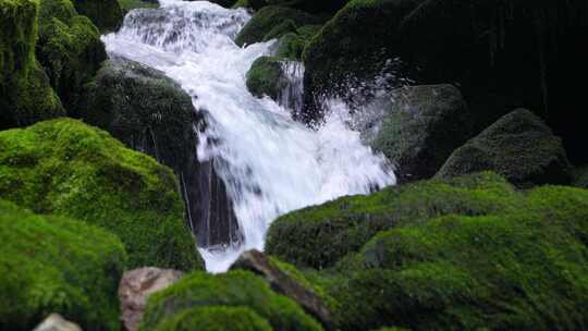 湖北恩施小溪河源头活水流淌青苔满地