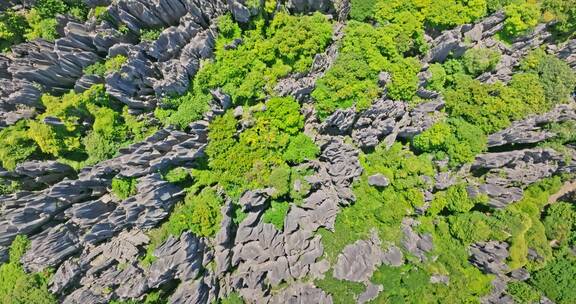 【正版素材】云南石林风景区航拍0617