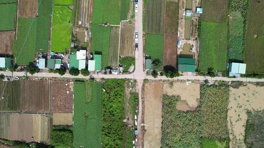 城郊农业基地航拍