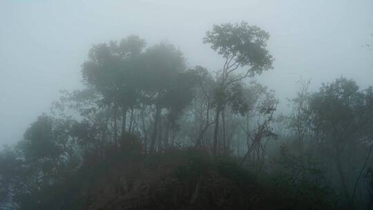 浓雾弥漫的山谷