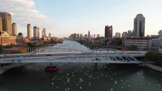 天津海河风景金阜桥小白楼城市风光航拍