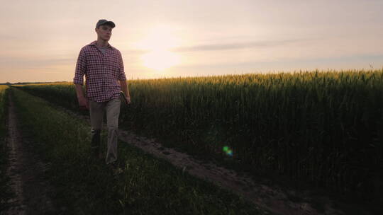 一个农民在日落时分沿麦田散步视频素材模板下载