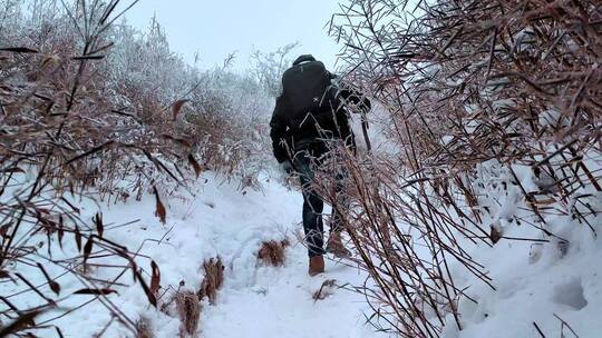 秦岭分水岭顶东佛沟雪景中奔跑的人物背影