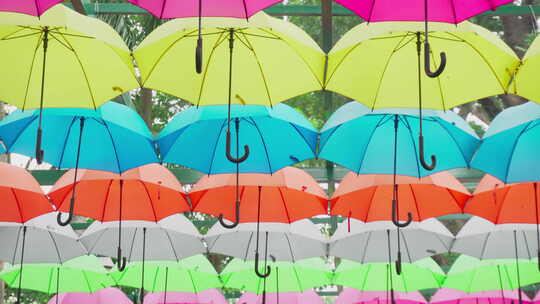 在公园的雨伞下散步。花园装饰视频素材模板下载
