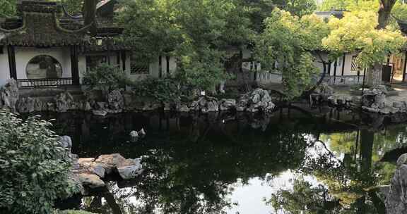 阳光绿植太湖石园林庭院水景沉浸式氛围