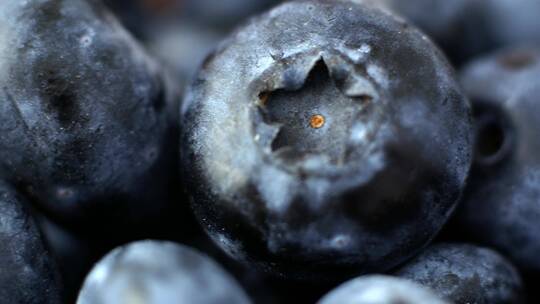 新鲜蓝莓食物营养微距