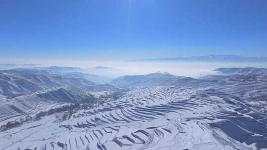 梯田雪景 梯田 雪后梯田 雪景 云海 冬天