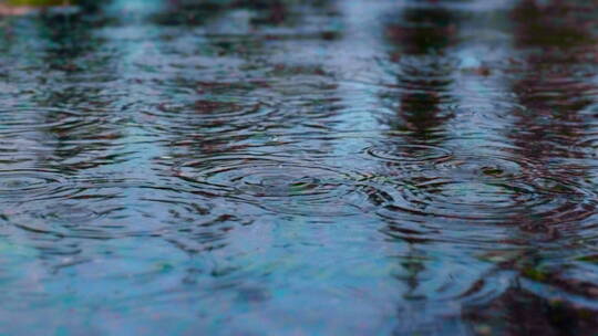 雨落在水潭里