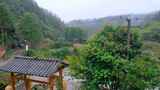 初秋山中农村雨中滴水的屋檐和树叶高清在线视频素材下载