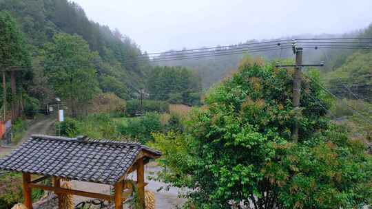 初秋山中农村雨中滴水的屋檐和树叶