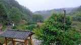 初秋山中农村雨中滴水的屋檐和树叶高清在线视频素材下载