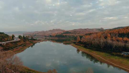 森林 树木 自然 山脉 阳光 景观 云雾