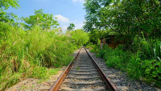 走在铁路上 穿过 树林 森林 远方