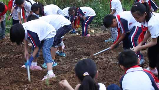 学生劳动种植场景