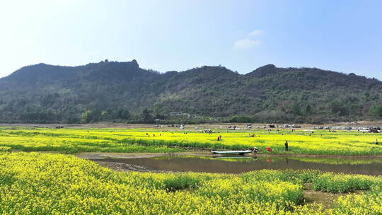 春天阳光下桂林山谷中的湖和岸边的油菜花