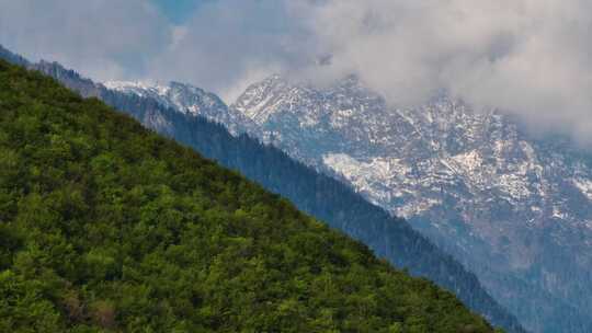 意大利阿尔卑斯山脊线上茂密的绿色森林，尖山背景