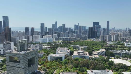 深圳大学 大学 教育