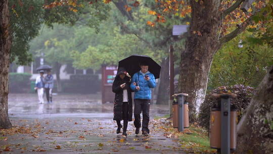 雨中散步情侣挽手走路玩手机