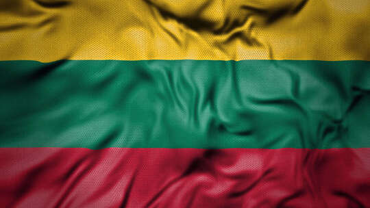 立陶宛现实主义国旗
