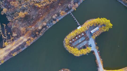 北京怀柔怀九河下游湿地秋季风光航拍视频